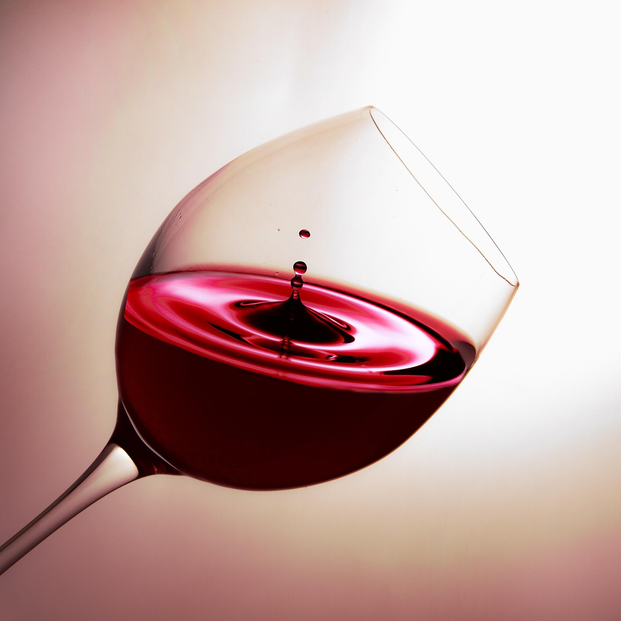 Tasting wine amidst vineyard scenery